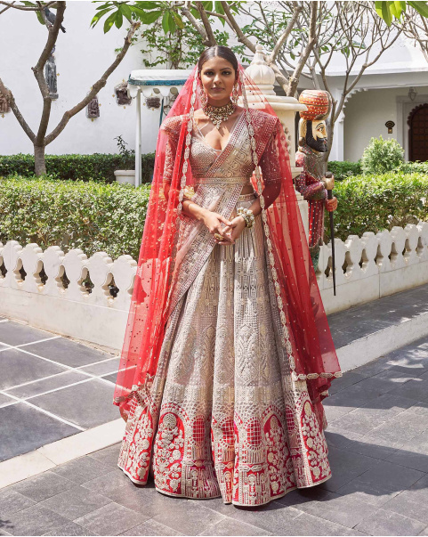 Jyot Beigeish Grey Tulle Lehenga Set With Pure Silk Red Border