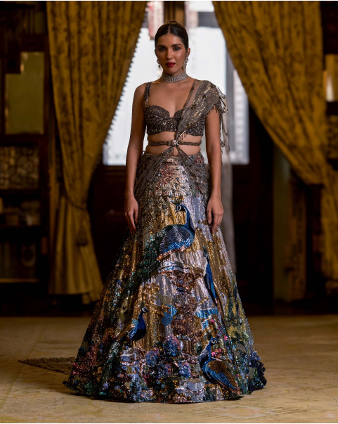 Anais Multicoloured Lehenga Set With Peacock Embroidery