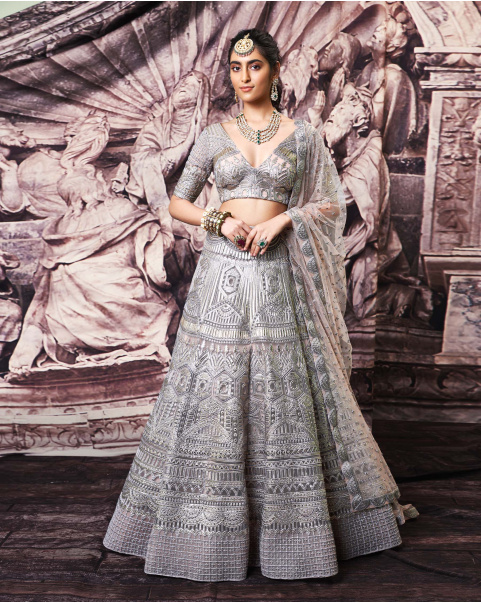 Erin Grey Tulle Lehenga Set With Golden Foil Work