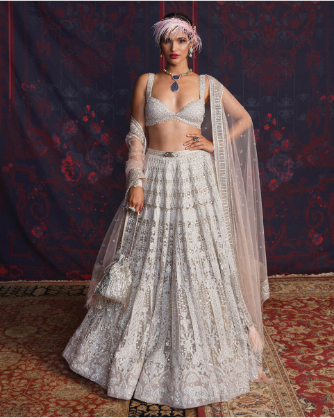 Louise Silver Lehenga Set With A Bralette Style