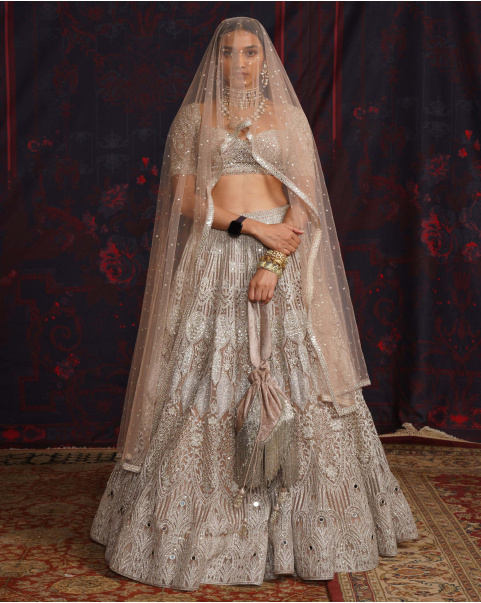 Rebecca Beige-Based, Silver Lehenga Set With A Cropped Corset Blouse