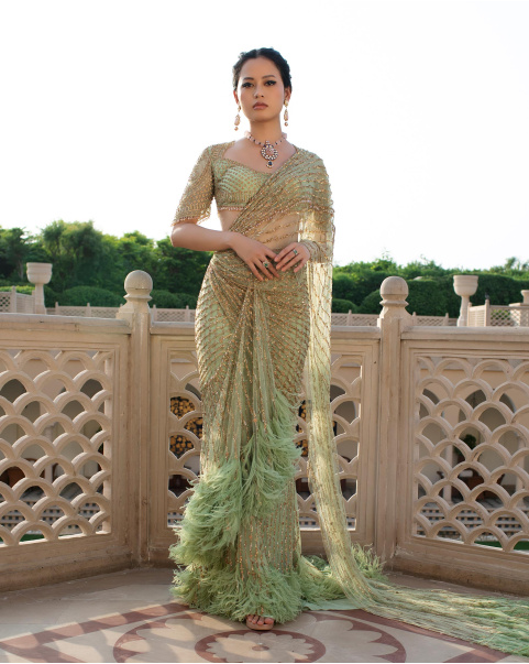 Astrid Designer Saree Gown