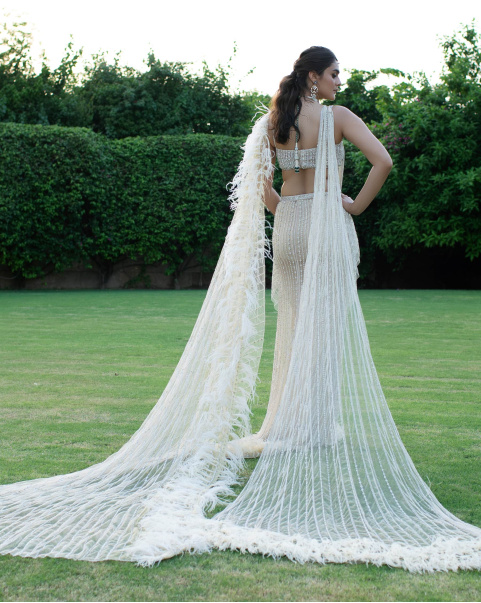 Neige Light Beige Saree Gown With Feather Cape And Trail