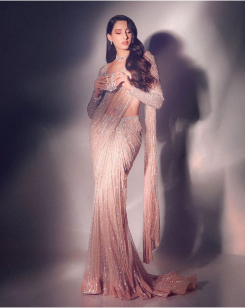 NORA FATEHI SAREE GOWN