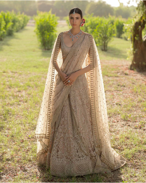 Zelda Beige Lehenga Set Encrusted With Crystal, Beads