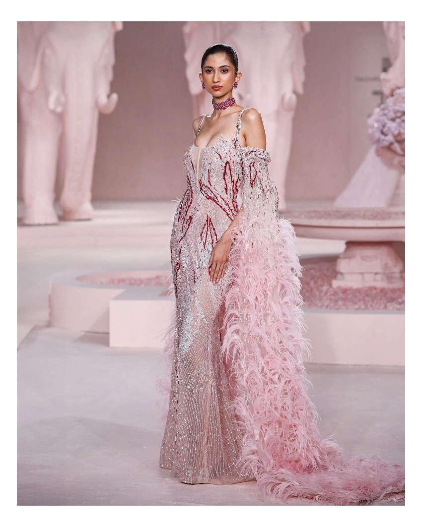 Sage Pink Fitted Gown with Silver Embroidery & Embellished Feather Sleeves