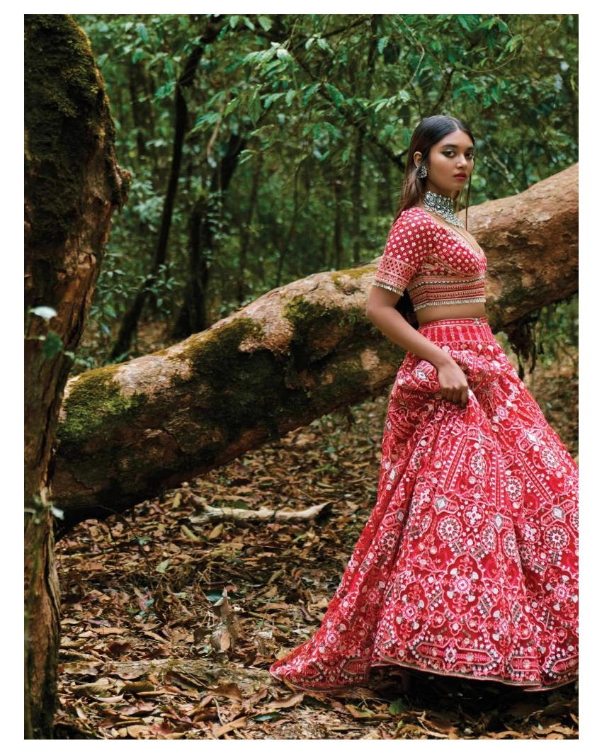 Red-based, Pink Lehenga With A Cropped Blouse