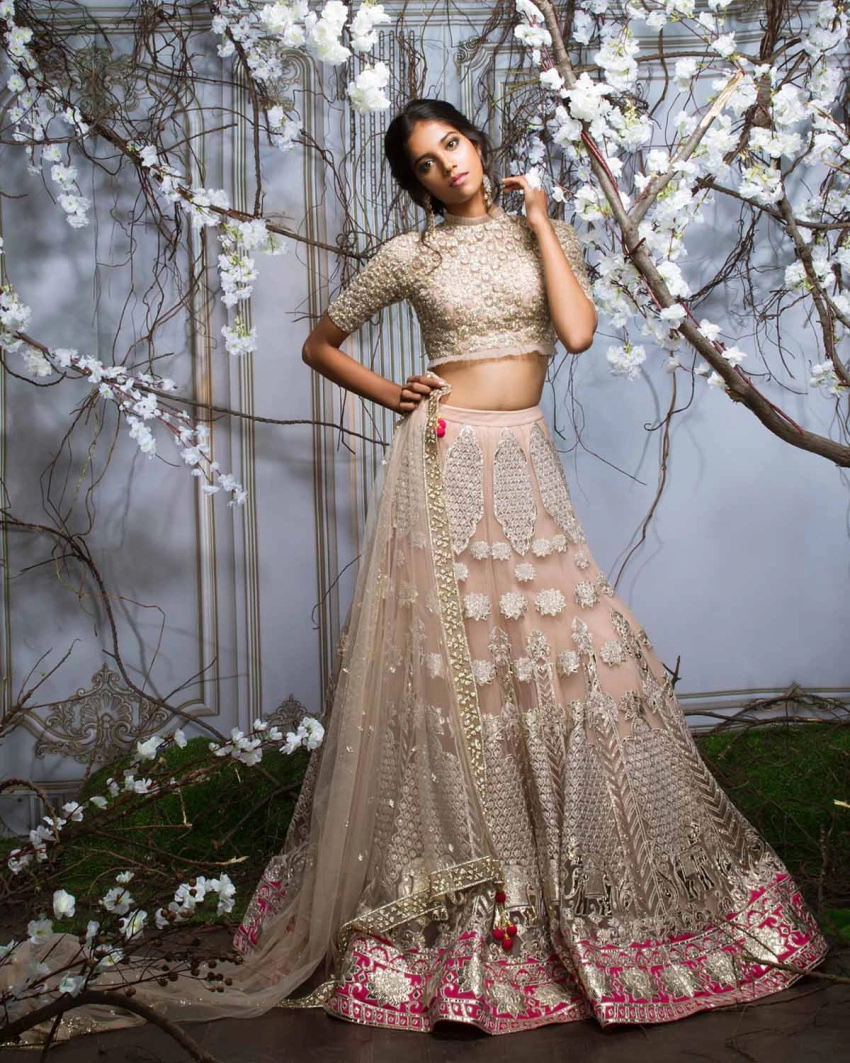 Shop Alexandra Beige Lehenga with an Pink Border Light Gold Embroidery - Falguni Shane Peacock