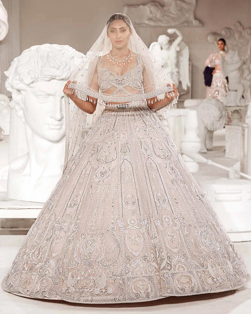 Marina Pale Pink-based, Ivory Lehenga Set With Butterfly-style