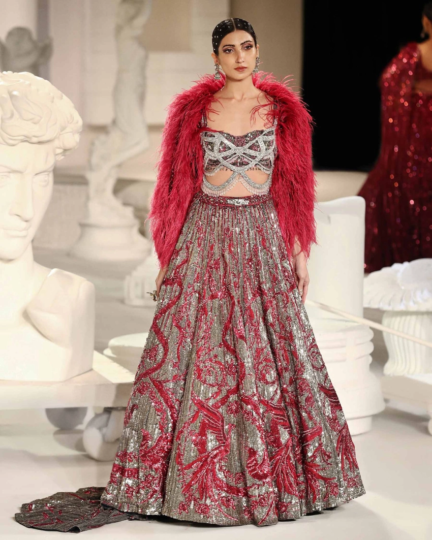 Macy Lehenga Set Silver Red Intricate Foliage Bird Motifs