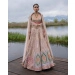 Jacqueline Rose Quartz Pink-based, Multicoloured Lehenga Set With Tulle Drape