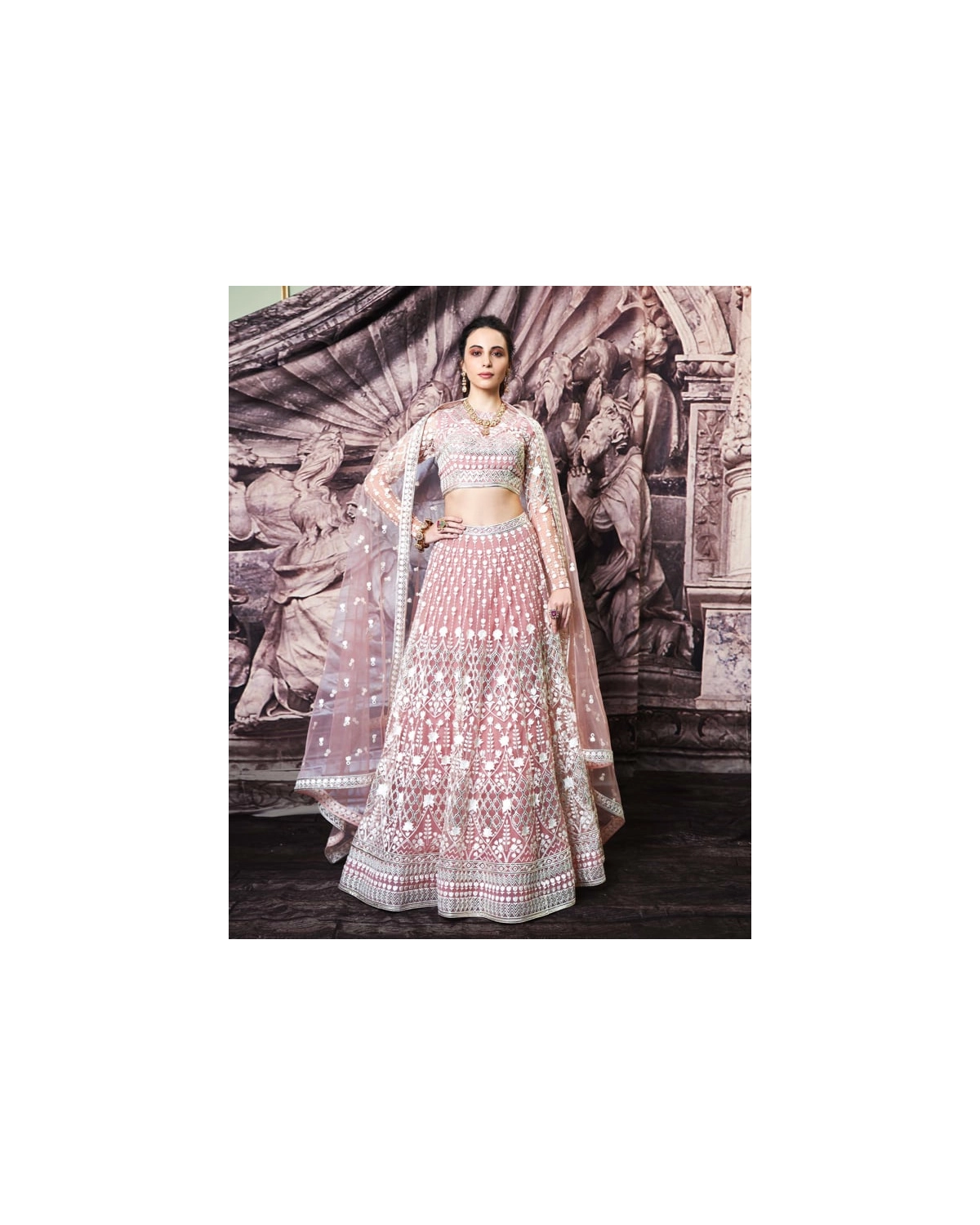 Jenna Blush Tulle Lehenga Set With Light Gold