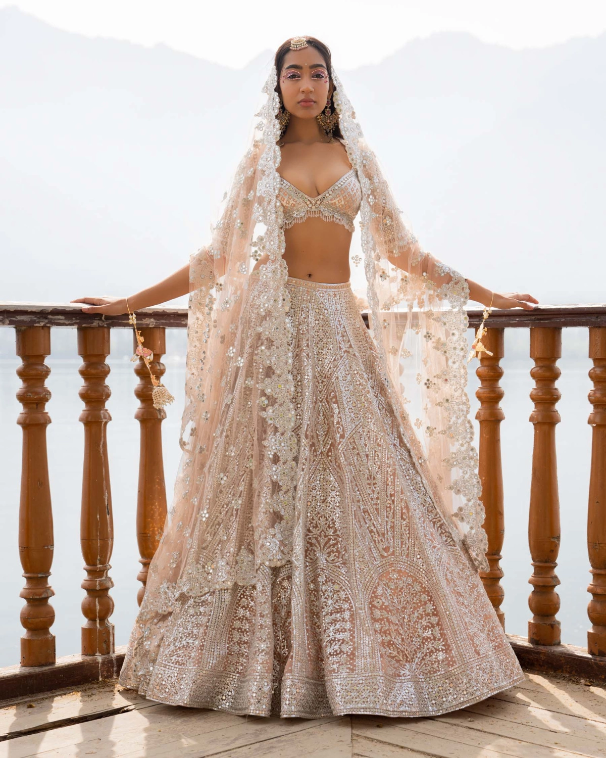 Anika Light Mocha Lehenga Set With Traditional Motifs