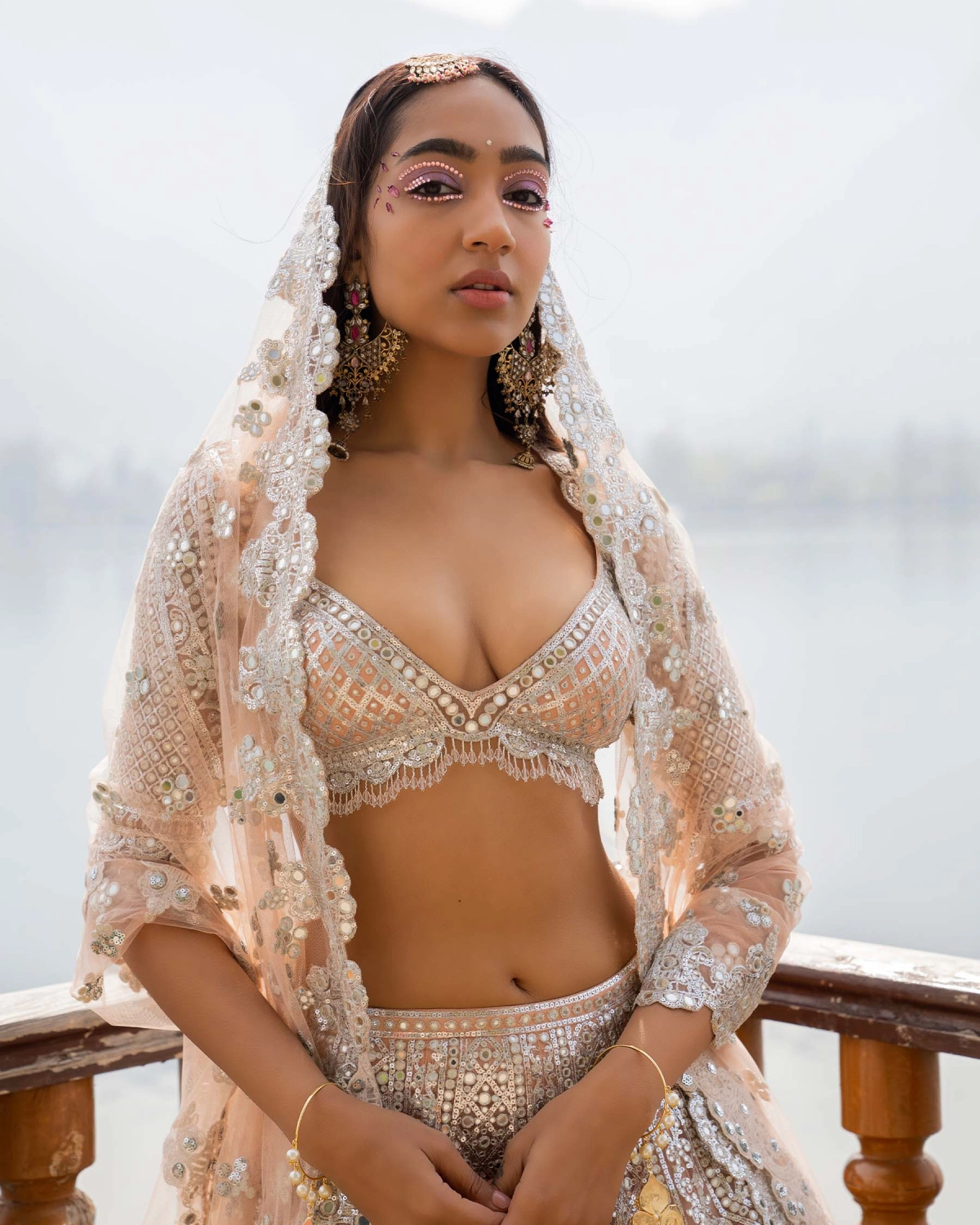 Anika Light Mocha Lehenga Set With Traditional Motifs