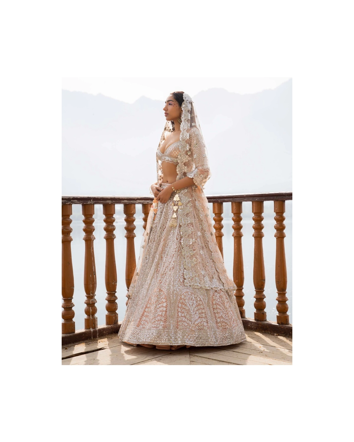 Anika Light Mocha Lehenga Set With Traditional Motifs
