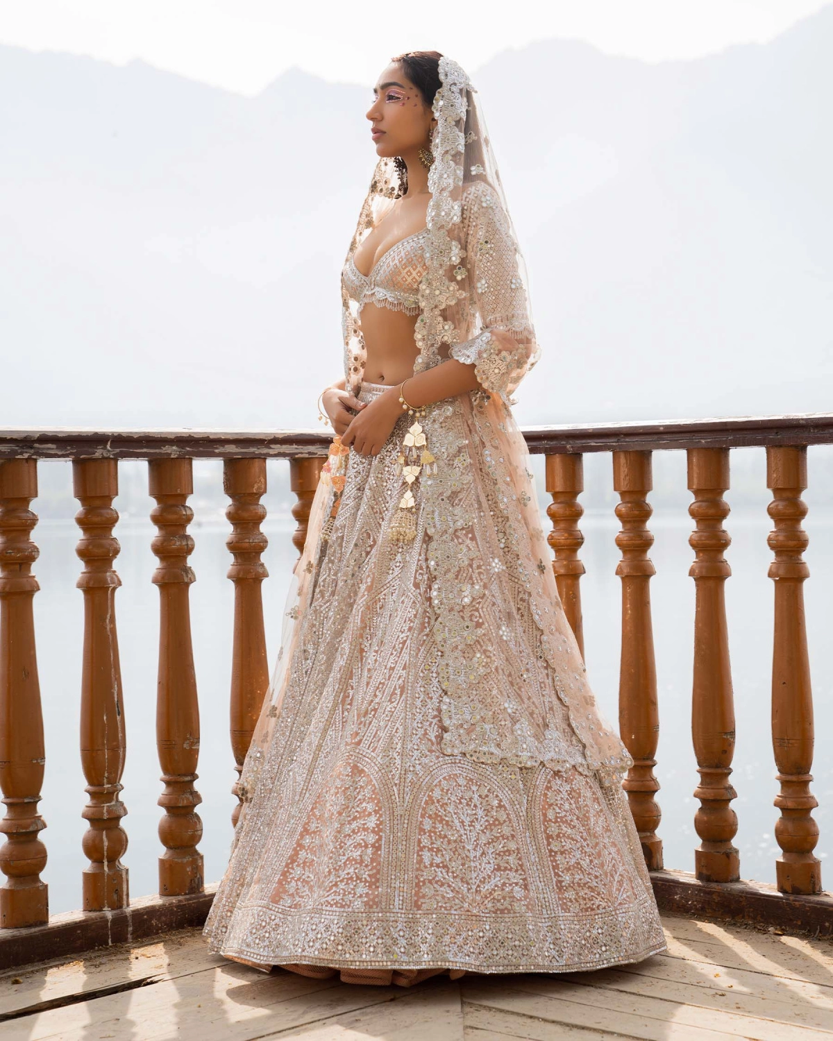 Anika Light Mocha Lehenga Set With Traditional Motifs