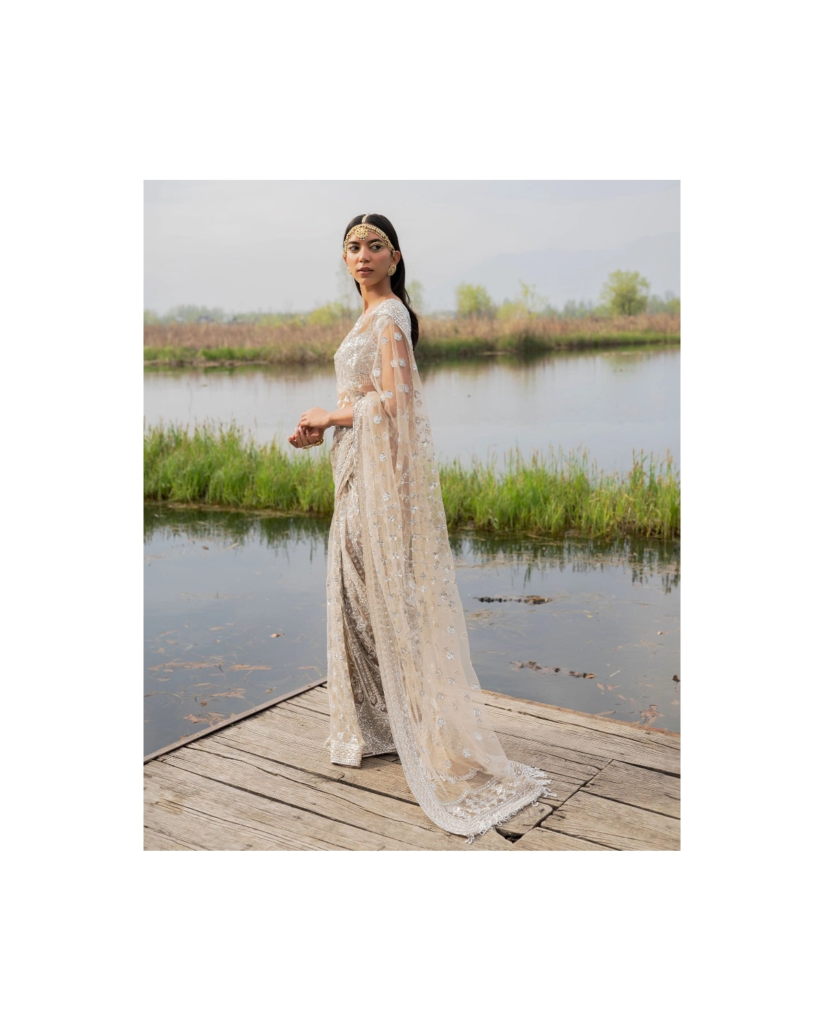 Clementine Beige Silver Saree with Crystal Sequin Work Embellished