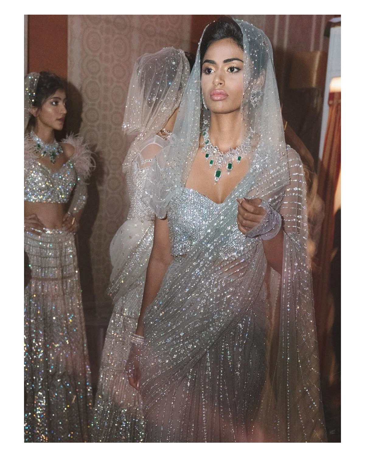 Sylvia Crystal Work Chrome Applique Saree