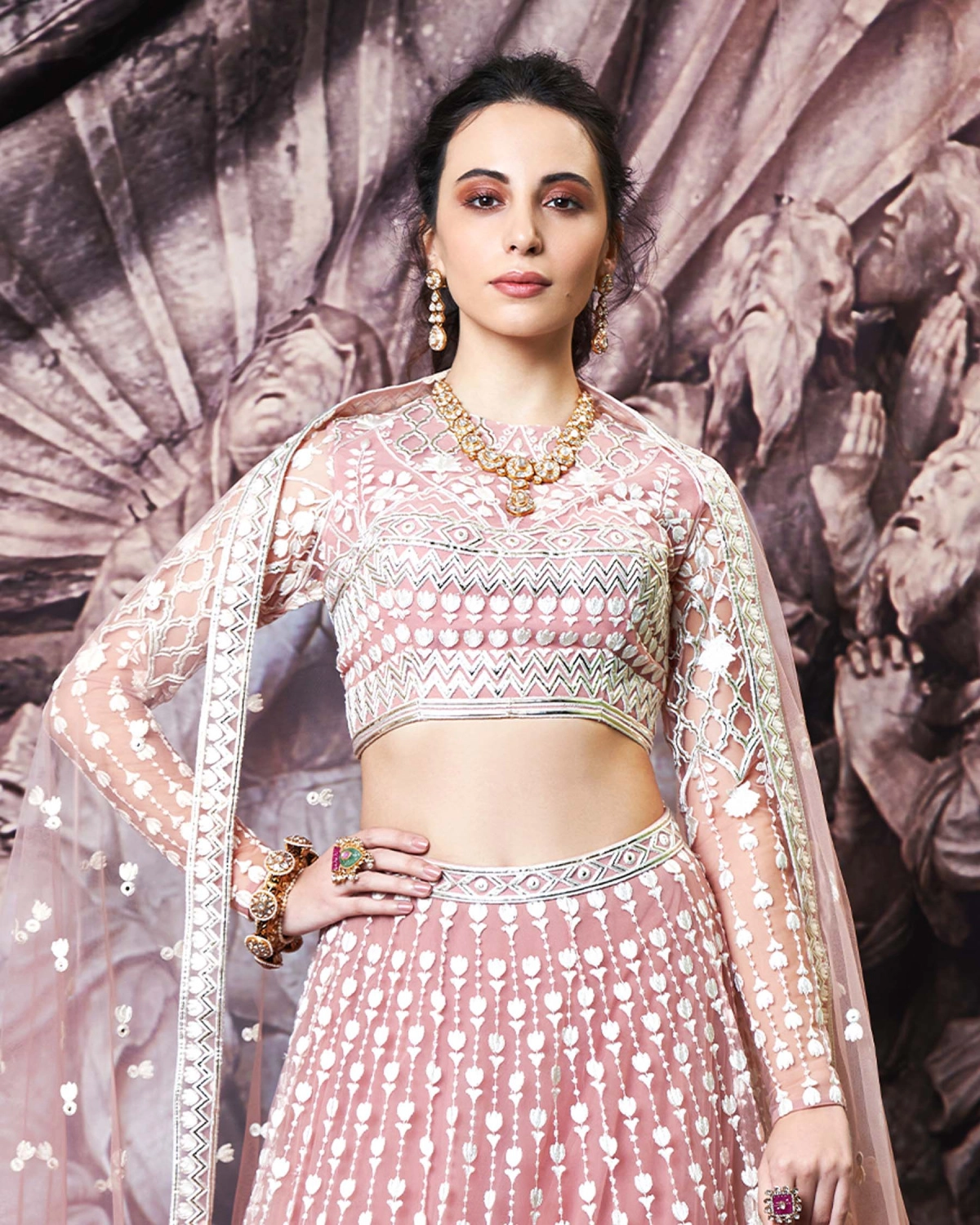 Jenna Blush Tulle Lehenga Set With Light Gold